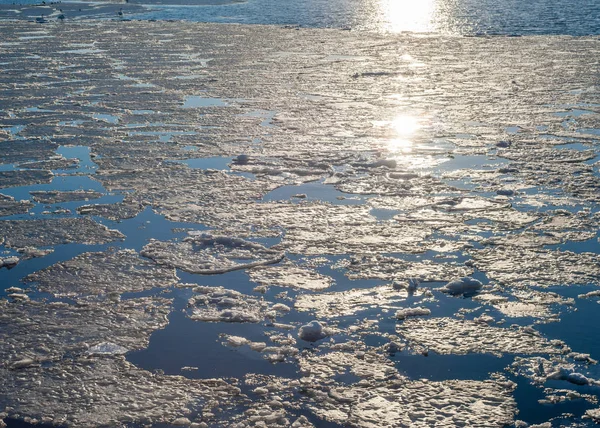 Melting ice sheet on water reflecting sunlight. — Stock Photo, Image