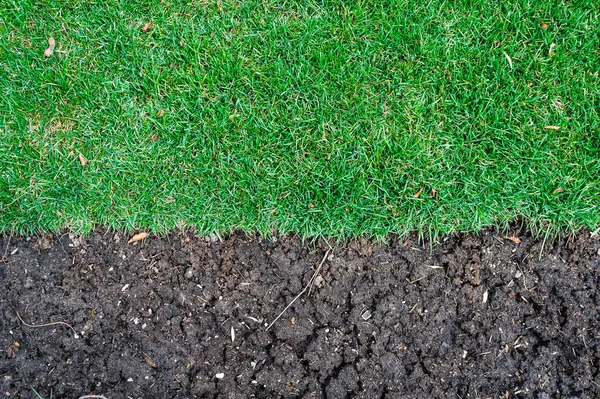 Bordo di erba tappeto erboso termina a sporcizia fertile . — Foto Stock