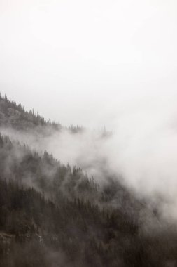 Yoğun sis kapsayan yamaç Norveç'te.