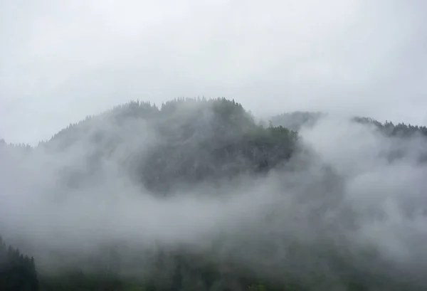 Dichter Nebel bedeckt Berg in Norwegen. — Stockfoto