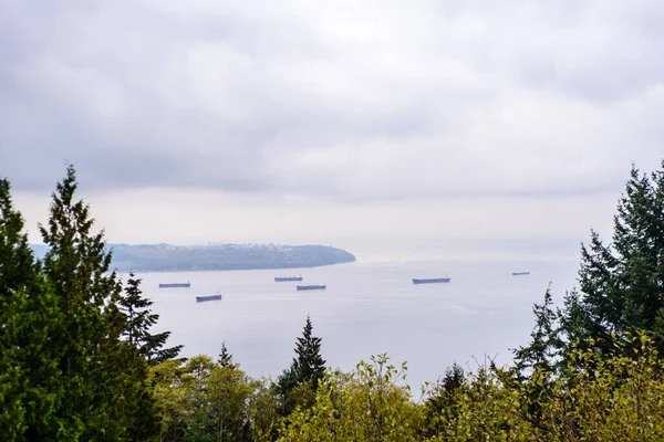 Vancouver Limanı girişinin hemen dışında, Burrard körfezine demirlemiş büyük kargo gemileri Vancouver, BC, Kanada yakınlarındaki ağaçların arasından görülüyor..