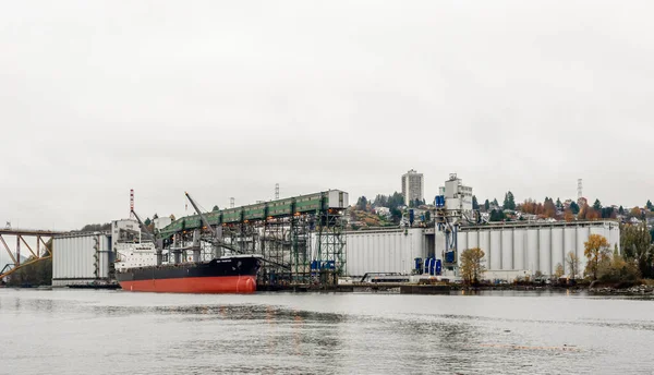 バンクーバー カナダ 11月01 2018 ばら積み貨物船 新フロンティア 様々な穀物を国際目的地に輸送するカスカディアターミナルにドッキングされています — ストック写真
