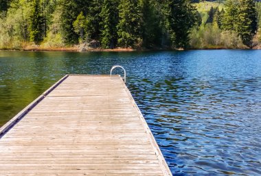 Empty wooden dock with metal ladder on water near trees. clipart