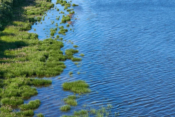 Coast of sea island edge, aerial top view. Densely green jungle peninsula, copy space. Pure, clean and calm blue water. Virgin nature. — Stock Photo, Image