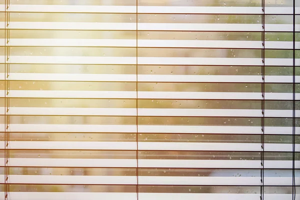办公室百叶窗。现代木制的贾卢西。办公室会议室照明范围控制. — 图库照片