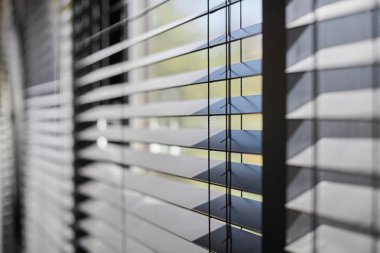 Ofis panjurları. Modern ahşap jalousie. Ofis toplantı odası aydınlatma aralığı kontrolü.