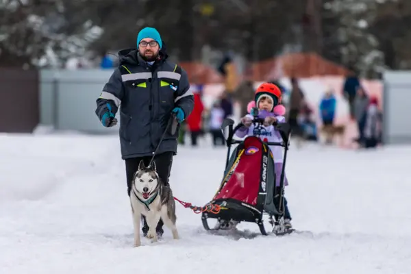 Reshetiha, Russie - 02.02.2019 - Course de chiens de traîneau. Concours de championnat pour enfants. Husky équipe de chiens de traîneau tirer un traîneau avec jeune musher chien . — Photo