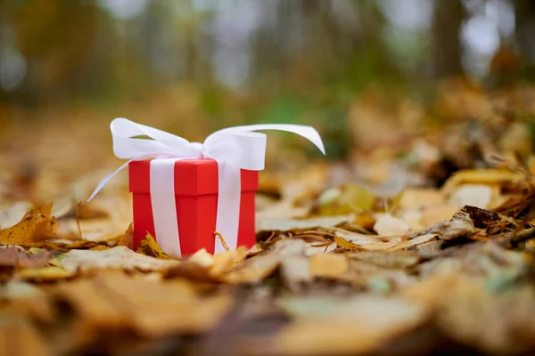 Caja de regalo otoño — Foto de Stock