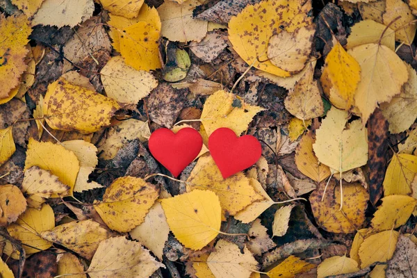 Liebe oder Freundschaft Konzept — Stockfoto