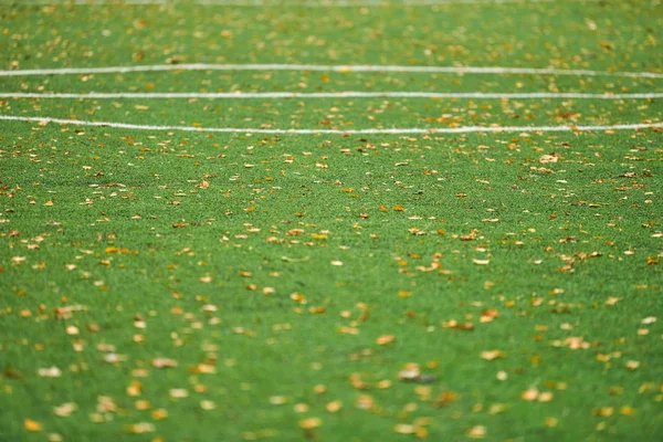 Artificial grass, sports field cover — 图库照片