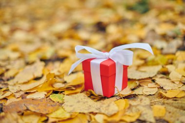 Sonbahar yapraklarında hediye kutusu