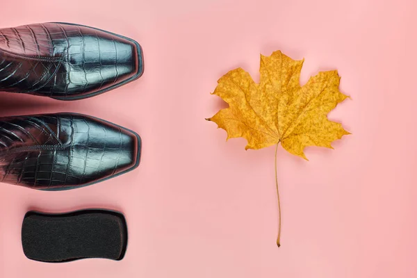 Rainproof boots with polish sponge and autumn leaf — Stock Photo, Image