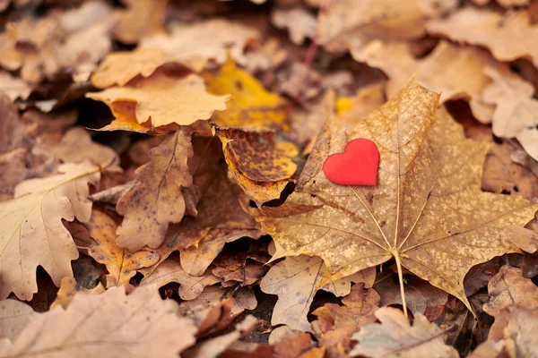 Símbolo de corazón puro abierto, espacio de copia . — Foto de Stock