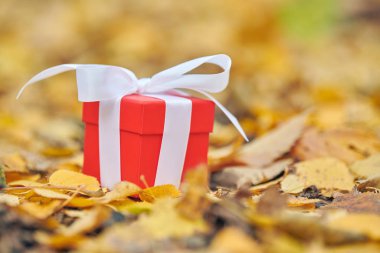 sonbahar hediye kutusu