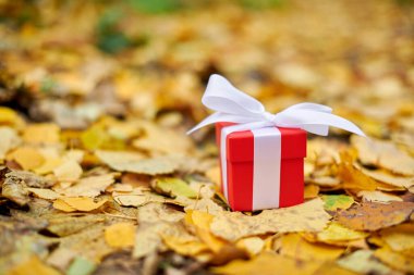 sonbahar hediye kutusu