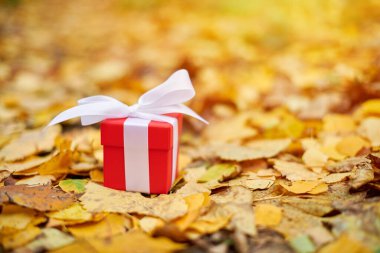 Sonbahar yapraklarında hediye kutusu
