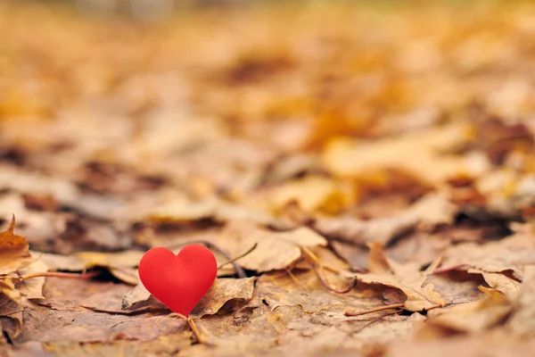 Apaixonação ou conceito de amor romântico não correspondido . — Fotografia de Stock