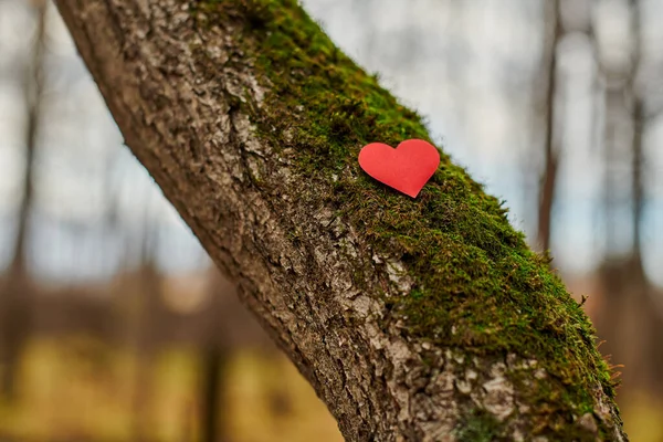 Environment protection symbol, copy space — Stock Photo, Image