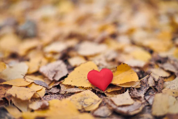 Conceito de amor ou solidão unilateral não correspondido . — Fotografia de Stock