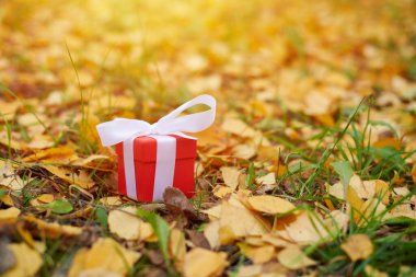 sonbahar hediye kutusu