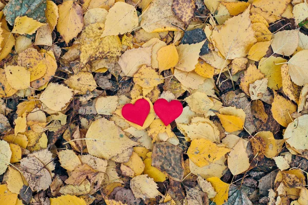 Liebe oder Freundschaft Konzept — Stockfoto