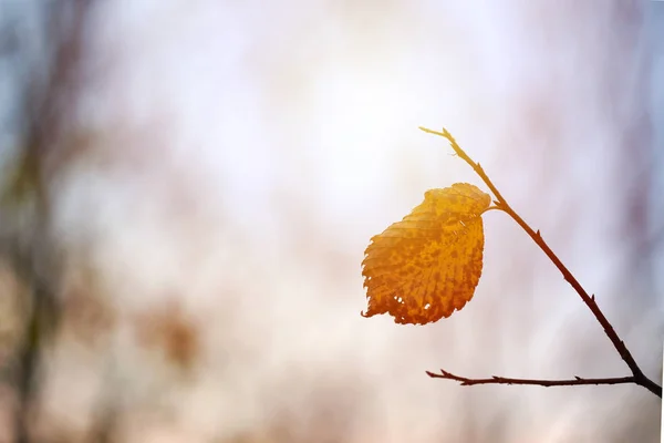 Simbolo cambio stagione o previsioni meteo soleggiate — Foto Stock