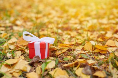 sonbahar hediye kutusu