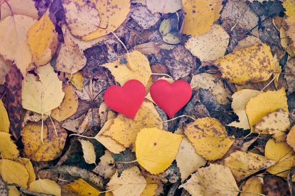 Liebe oder Freundschaft Konzept — Stockfoto