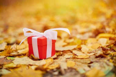 Sonbahar yapraklarında hediye kutusu, kopyalama alanı. Özel bir gün için hediye: yıldönümü, doğum günü, düğün, balayı, Noel veya Sevgililer Günü.