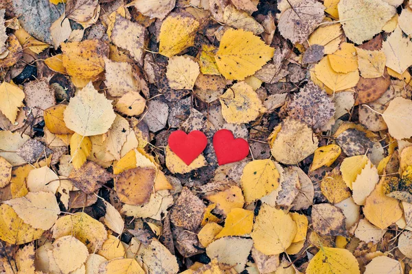 Två Hjärtan Höstskogen Kärlek Eller Vänskap Koncept Symbol För Äktenskap — Stockfoto