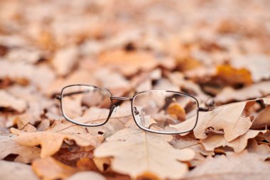 Glasses on autumn foliage. Lost glasses as symbol of sudden vision loss. Vitamin deficiency with age. clipart