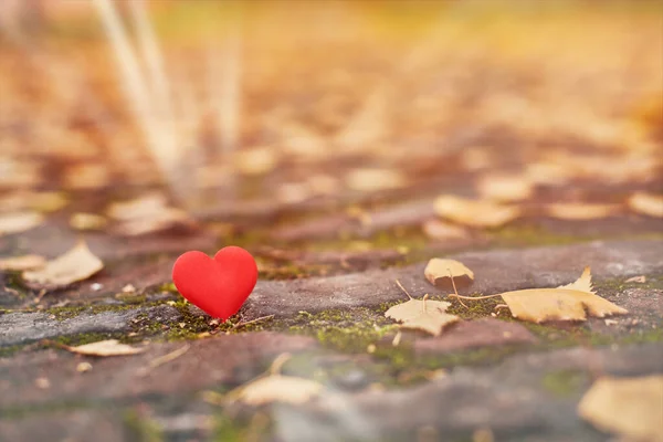 One heart on autumn path. Unrequited, one-sided love or loneliness concept. Symbol of unrequited love victims of Valentine day. Beautiful autumn background, copy space.