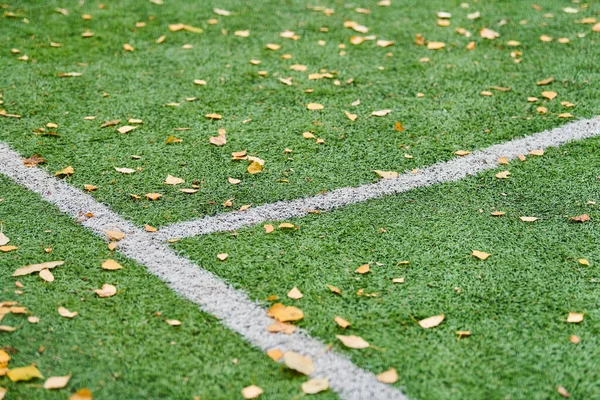 Artificial Grass Sports Field Cover Marking Artificial Turf Used Different — 图库照片