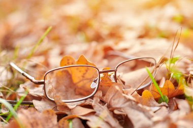 Glasses on autumn foliage. Autumn vision loss concept. Vitamin deficiency with age. clipart