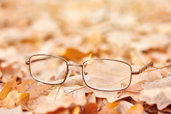 Glasses Autumn Foliage Lost Glasses Symbol Sudden Vision Loss Vitamin — Stock Photo, Image