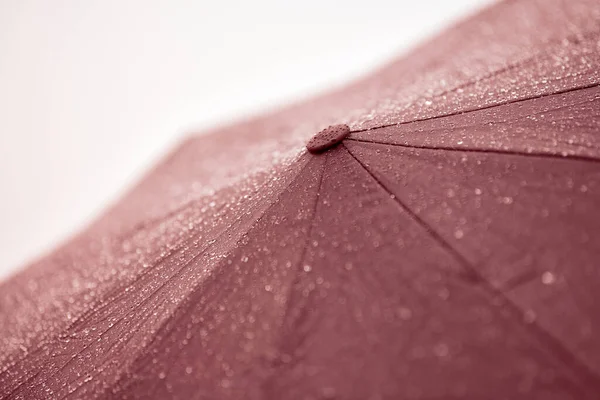Wet Umbrella Rain Drops Water Red Umbrella Forecast Bad Weather — Stock Photo, Image