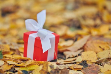 Sonbahar yapraklarında hediye kutusu, kopyalama alanı. Özel bir gün için hediye: yıldönümü, doğum günü, düğün, balayı, Noel veya Sevgililer Günü.