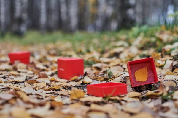 Drei Schachteln Mit Herbstblatt Eine Der Jahreszeiten Wechseln Konzept Kopierraum — Stockfoto