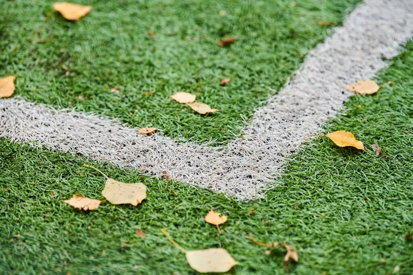 Artificial grass, sports field cover with marking. Artificial turf used in different sports: football, soccer, rugby, tennis, baseball, american football, golf, field hockey and other.