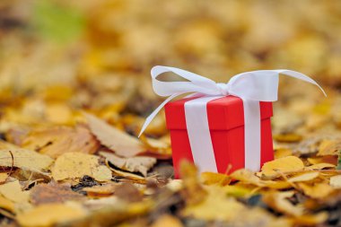 Sonbahar yapraklarında hediye kutusu, kopyalama alanı. Özel bir gün için hediye: yıldönümü, doğum günü, düğün, balayı, Noel veya Sevgililer Günü.