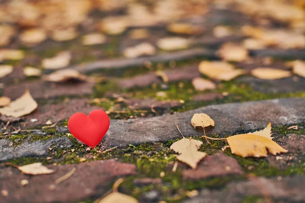 One heart on autumn path. Unrequited, one-sided love or loneliness concept. Symbol of unrequited love victims of Valentine day. Beautiful autumn background, copy space.