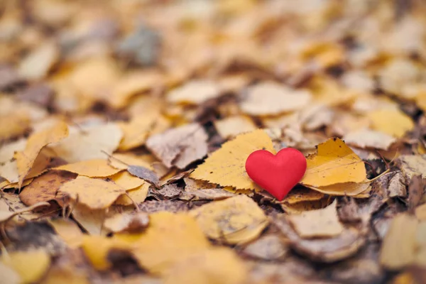 Jedno Srdce Podzimním Listí Neopětovaná Jednostranná Láska Nebo Osamělost Symbol — Stock fotografie