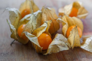Physalis yapraklarla Olgun