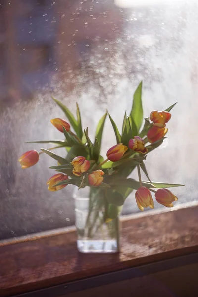 Bouquet Yellow Red Spring Tulips — Stock Photo, Image