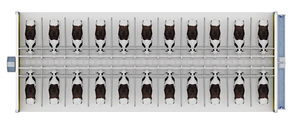 Schuur met koeien op bovenaanzicht 3D-rendering — Stockfoto