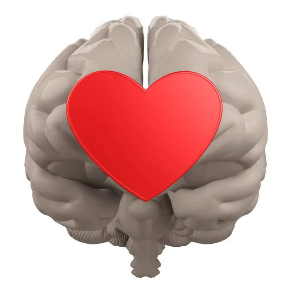 Cérebro e símbolo coração 3d renderização — Fotografia de Stock