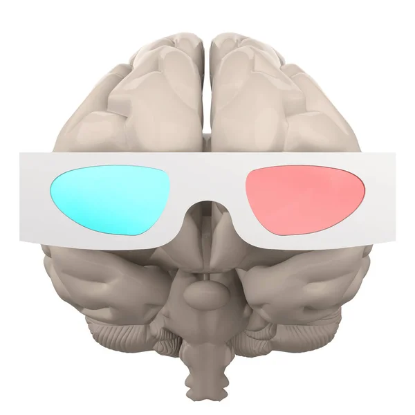 Brain in 3D stereo glasses — Stock Photo, Image