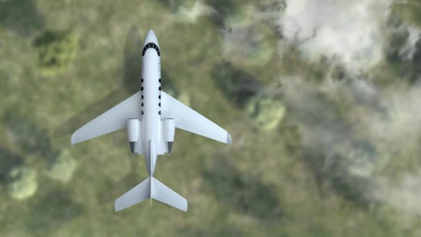Частный самолет летать над лесом с облаками. вид сверху — стоковое видео