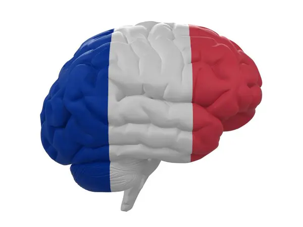 Cerveau humain est drapeau coloré de la France — Photo