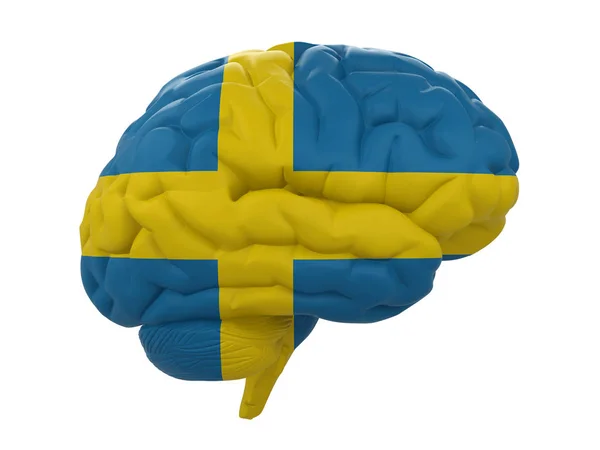 Human brain is colored flag of Sweden — Stock Photo, Image